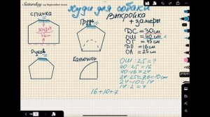 Выкройка на собаку ✏️?✂️ Как снять мерки с собаки ?❓