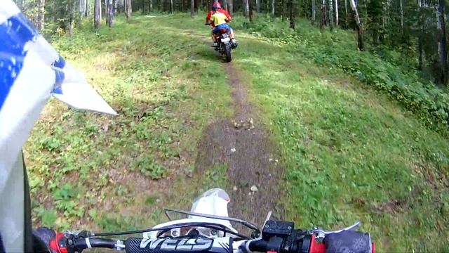 Покатушка по лесу Нижний Тагил Вагонка смотреть онлайн