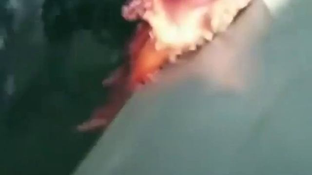 Побег из Шоушенка 2 смотреть онлайн