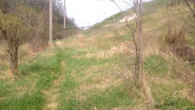 Страсти по Луганщине