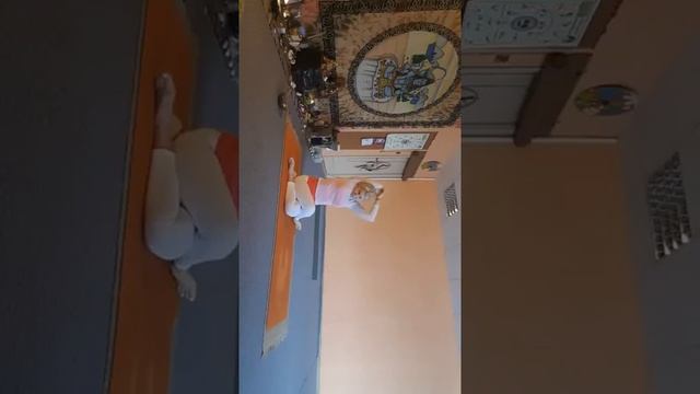Йога. Утренняя практика,8 лунный день. смотреть онлайн