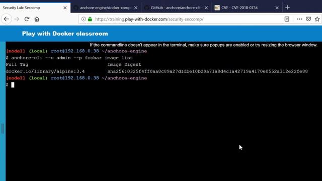 Analyzing docker images with anchore engine and anchore cli смотреть онлайн
