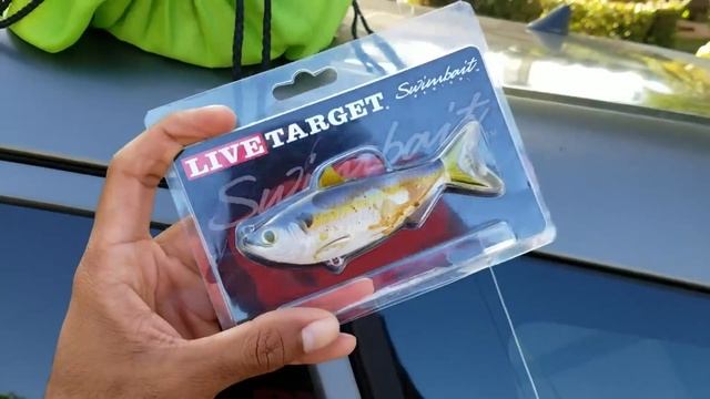 New Monster Fish Rules the Pool Pond: THE FALL OF SHAMU! смотреть онлайн