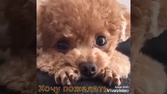 УЛЫБНИСЬ! смотреть онлайн