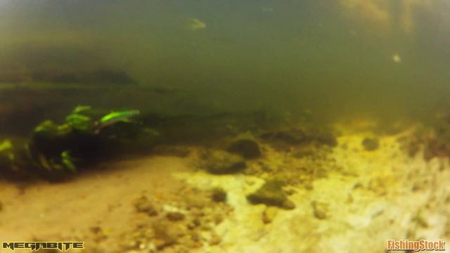 LB Minow 60 смотреть онлайн