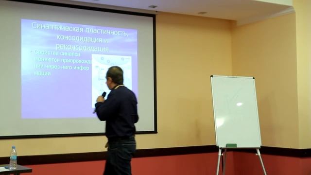 AI Ukraine 2014 - Д.Новицкий (Институт Кибернетики) - Нейросети: от компьютеров к биологии смотреть онлайн
