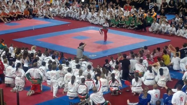Taekwondo World Championships in Coventry, England. 2013! смотреть онлайн