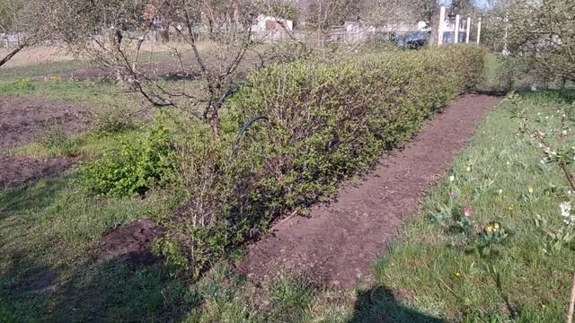 Строительный Квест