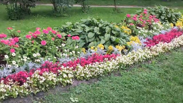 Краски цветочной клумбы у Карпина моста в Гатчинском парке. 06.09.2016, 17:41 смотреть онлайн