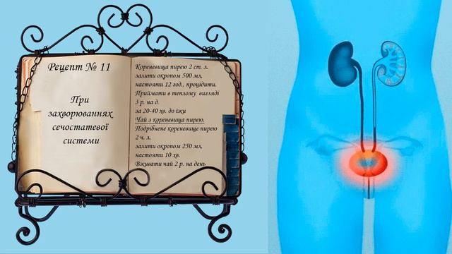 Не можете позбутися бур'янів на городі З'їжте Та використовуйте як цінні ліки Трава пирій смотреть онлайн