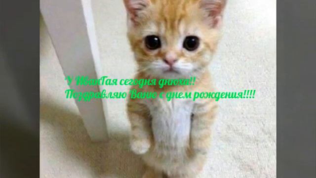 У ИванГая сегодня днюха!!! смотреть онлайн