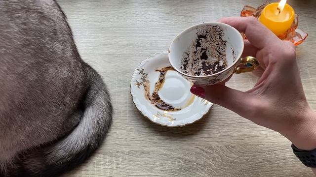 Чашка о предателях! Кофейные подсказки ☕️ смотреть онлайн