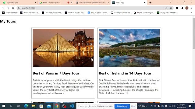 Tours Projecs || Using all the fundamentals of Reactjs with prop-drilling in Urdu смотреть онлайн