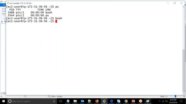 Shell Scripting Tutorial For Beginners - 1 | Shell Scripting Basics | Learn Shell Scripting смотреть онлайн