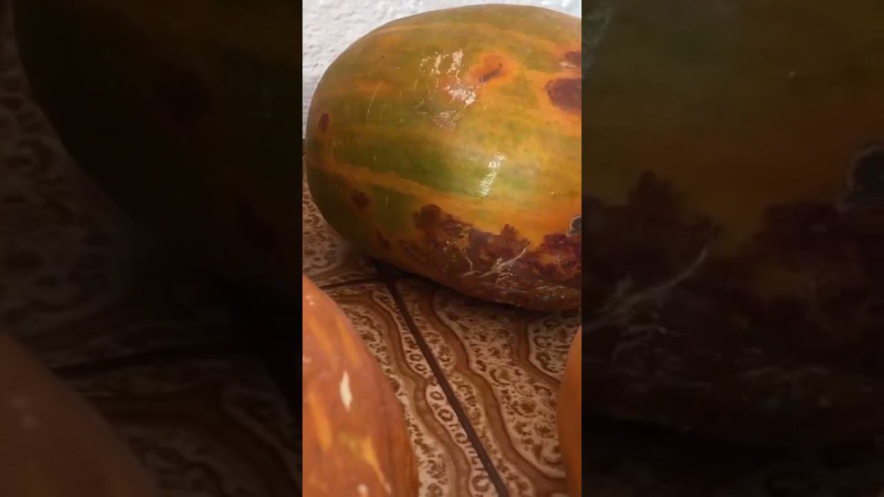 Тыква для восстановления зрения #тыква #пользатыквы смотреть онлайн