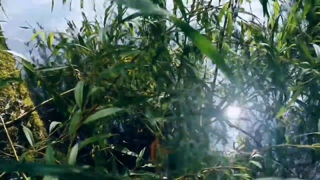 Vlog.Sweden??Шеция.Поездка на стрельбище / собираем грибы смотреть онлайн