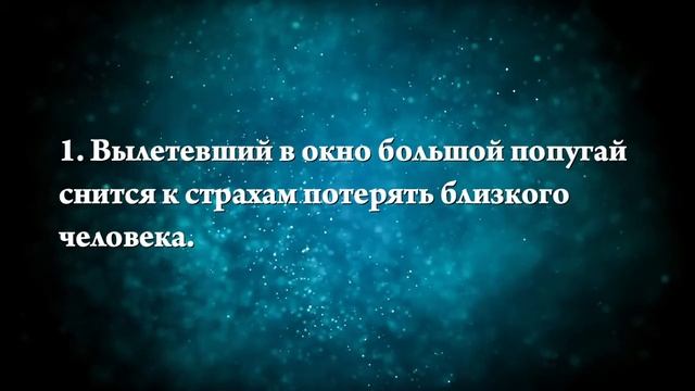 К чему снится большой попугай - Онлайн Сонник Эксперт смотреть онлайн