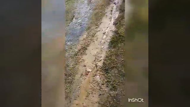 Моё село селитьба