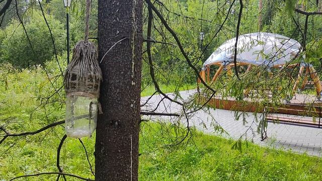 Птичкин домик смотреть онлайн