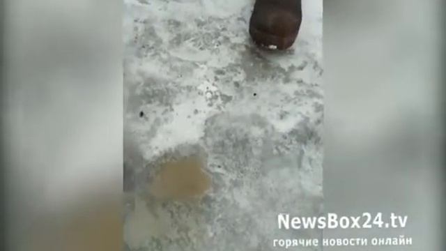 Топливо в Фокина оставляет желать лучшего смотреть онлайн