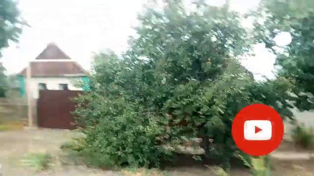 Очень много птиц часть3 (обеснение) смотреть онлайн