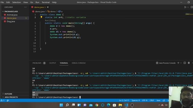 Static keyword in java | Java Placement Course With Data Structure and Algorithms. смотреть онлайн