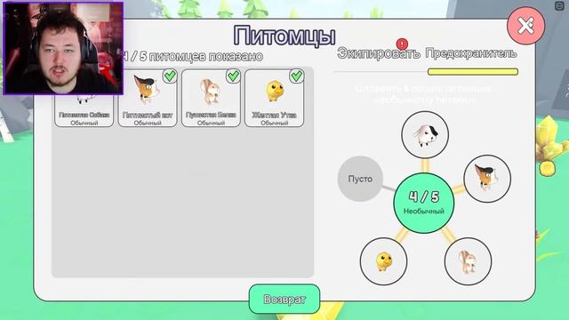 НАЙДИ ВСЕХ ПЕТОМЦЕВ В РОБЛОКС! (Roblox Collect All Pets!) | Альбертус смотреть онлайн