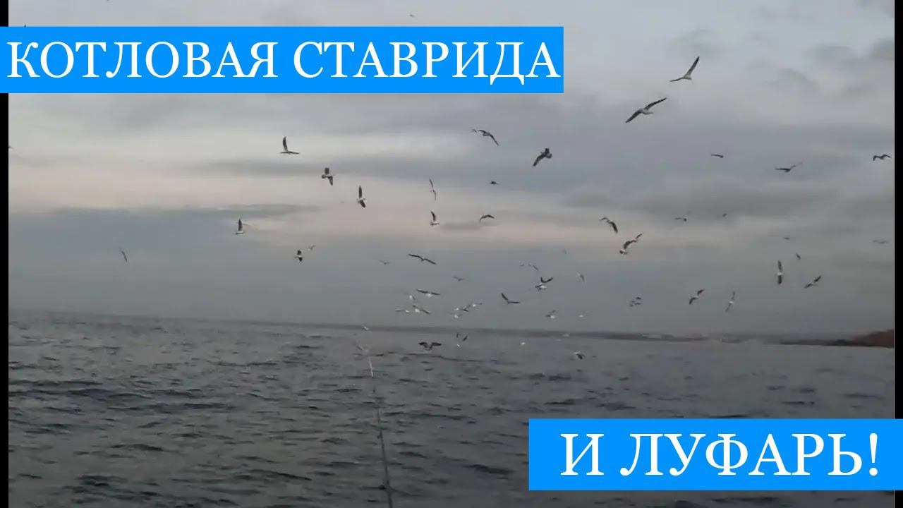 Котловая СТАВРИДА и ЛУФАРЬ на воблер - рыбалка на закате смотреть онлайн