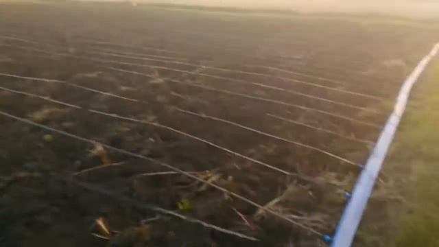 Укладываем капельную ленту в ручную Put drip tape in hand смотреть онлайн