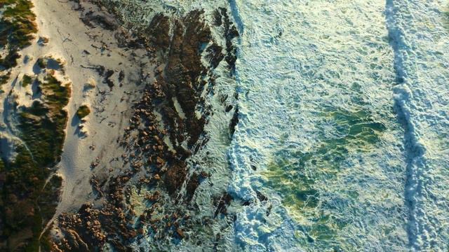 Зять с тёщей, каждый день были заняты… смотреть онлайн