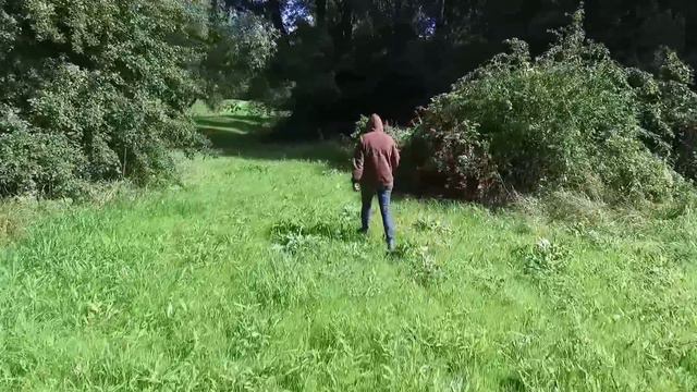 Het praktijkspeuren voor u en uw hond! смотреть онлайн