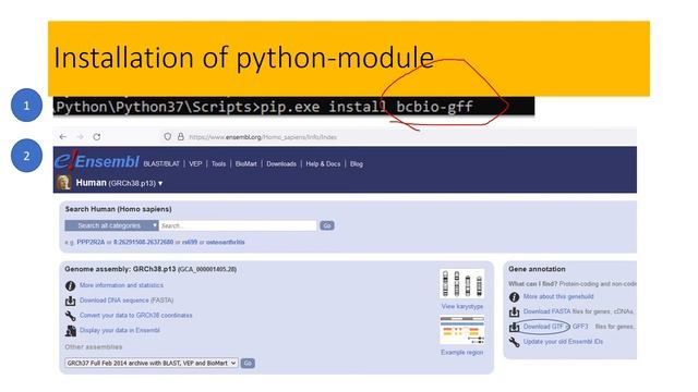 Python for extracting genetic or genomics elements from gff (general feature format) structured fil смотреть онлайн