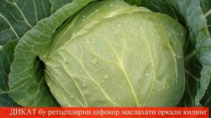 ГИЖЖАЛАРНИ ТУШИРИШ ОССОН ТЕЗ ВА УЙ ШАРОИТИДА  (3)