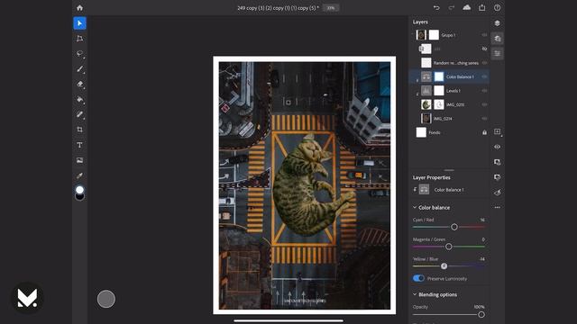 PHOTOSHOP IPAD PRO 2020 GIGANT CAT | Nap | One retouching a day #294 смотреть онлайн