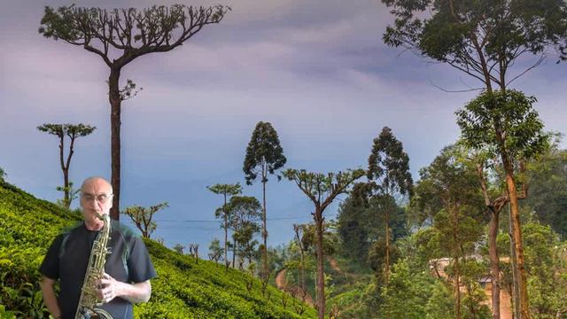 LE COUP DE SOLEIL AU SAX TENOR смотреть онлайн