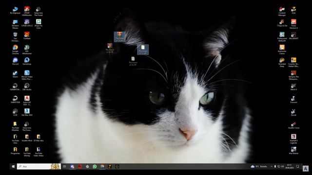 The Forest Ücretsiz Ve Online İndirme смотреть онлайн
