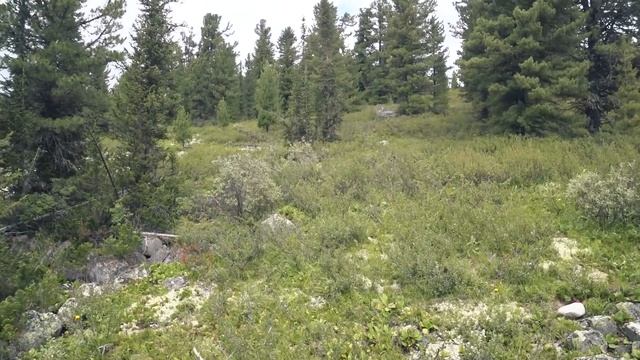 НАРВАЛСЯ НА МЕДВЕДЯ. 130км АДРЕНАЛИНА #3 смотреть онлайн