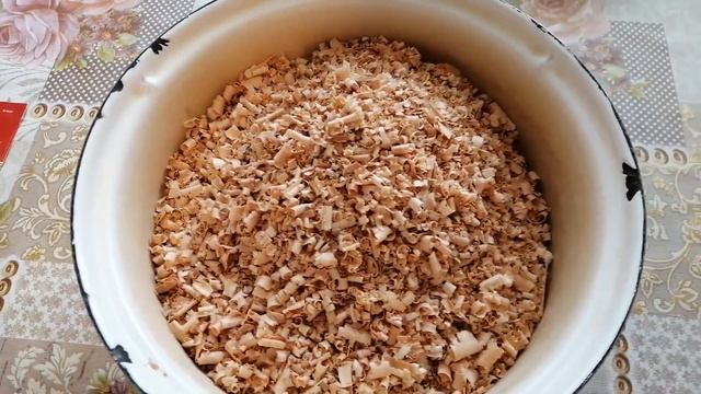 ПЕРЕСЕВАЕМ ТЫКВУ. СКОРАЯ ПОМОЩЬ - сеем в опилки смотреть онлайн