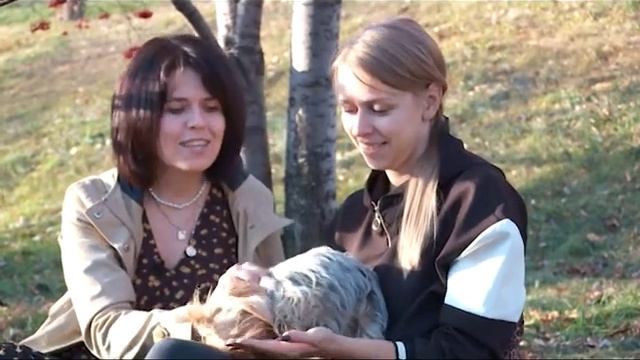 Осенние приметы: какой будет зима? смотреть онлайн