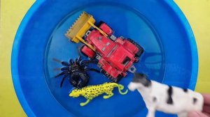 Учим Животных на английском Корова Собака Динозавр Лошадь Развивающие Мультики для Детей