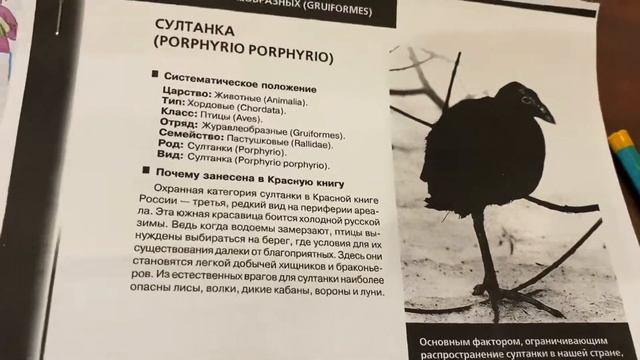 Окружающий мир/3 кл/РТ/Плешаков/Охрана животных/24.11.21 смотреть онлайн