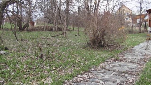 Философия вёсен... смотреть онлайн