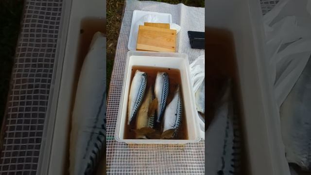 Часть 1, подготовка смотреть онлайн