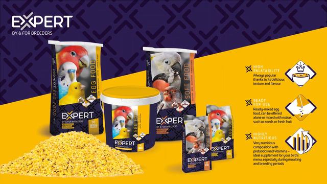 Witte Molen Expert Movie intro смотреть онлайн