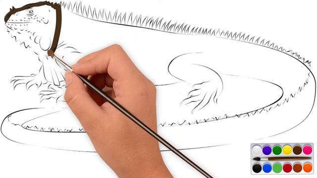 How To Draw An Iguana Lizard | Iguana Drawing and Coloring Tutorial смотреть онлайн
