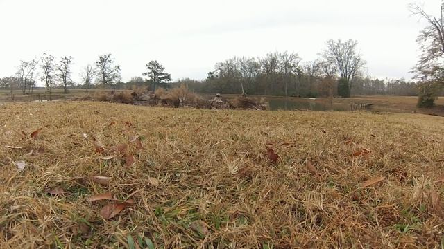 Mid-Georgia Goose Hunt смотреть онлайн