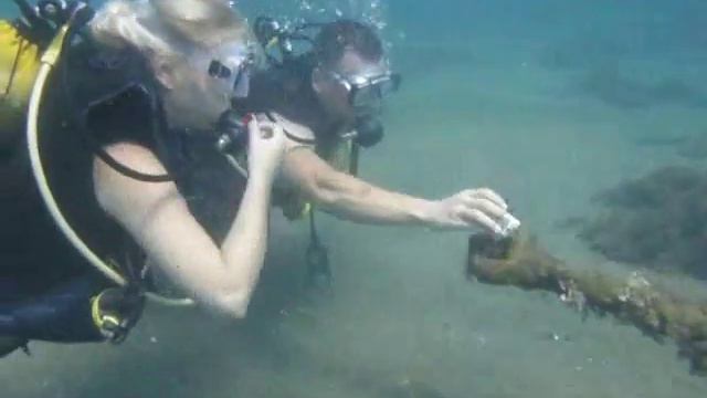 Предложение руки и сердца под водой Дайвинг центр "МОРЕ" смотреть онлайн