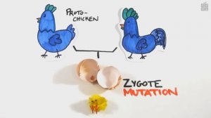 Что появилось раньше: курица или яйцо? [AsapSCIENCE]