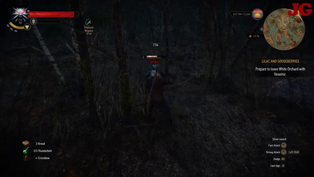The Witcher 3: Wild Hunt - On Death's Bed Side Quest Walkthrough Gameplay. смотреть онлайн