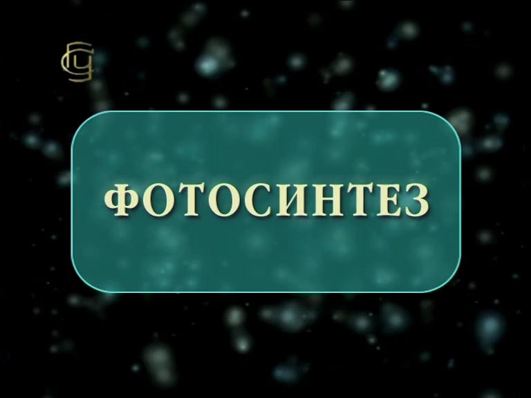 Фотосинтез смотреть онлайн